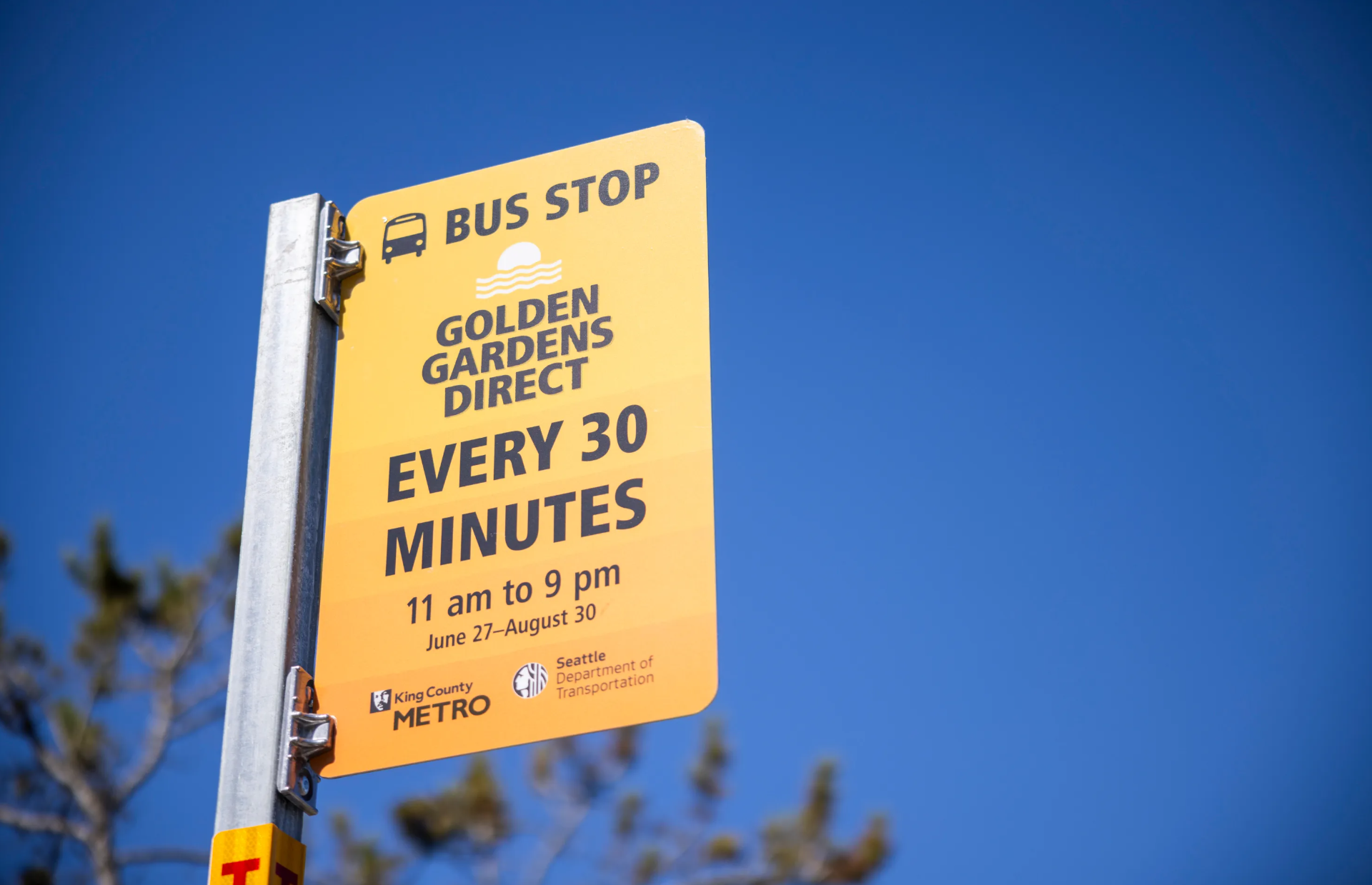 New summer transit service makes Golden Gardens easier to reach without a car